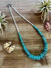 Load image into Gallery viewer, 22 inch Graduated turquoise necklace and white shell
