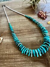 Load image into Gallery viewer, 22 inch Graduated turquoise necklace and white shell
